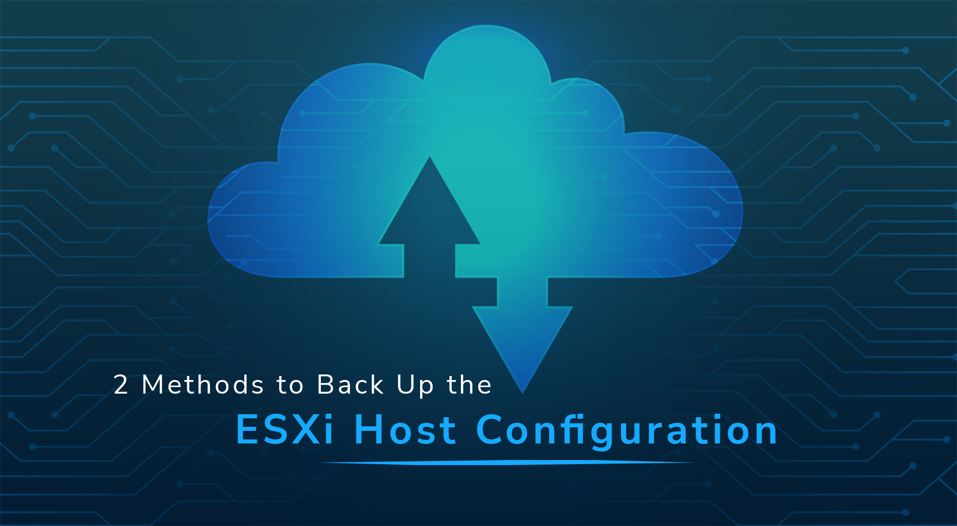 Back Up ESXi Host Configuration